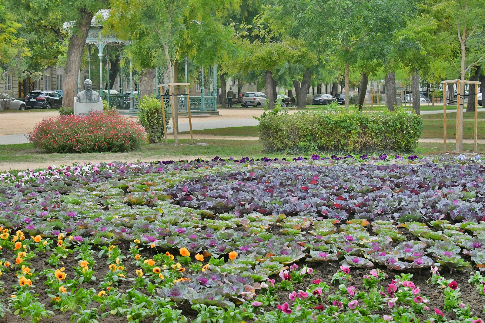 Elkezdődött a kétnyári növények beültetése a virágágyásokba